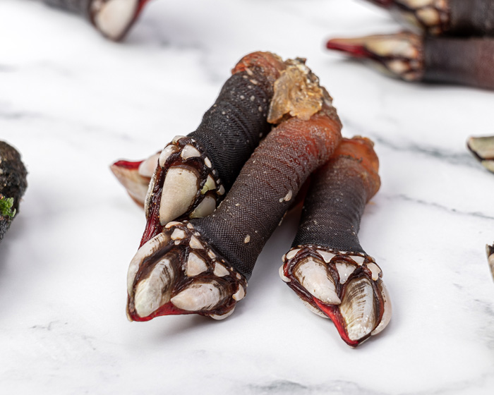 Percebe gallego cocido - Imagen 2