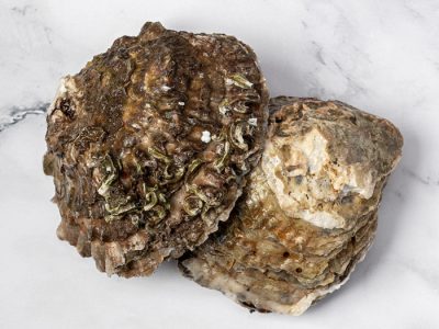 Ostra plana
