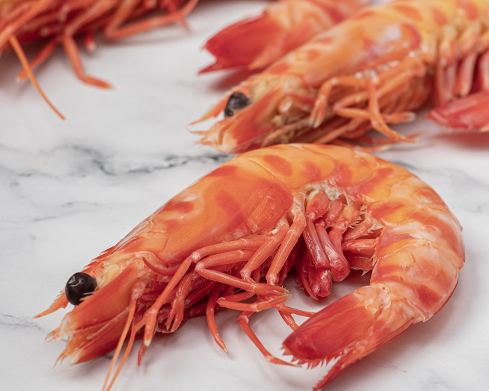 Langostino tigre cocido