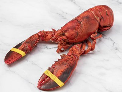 Bogavante Canadá cocido
