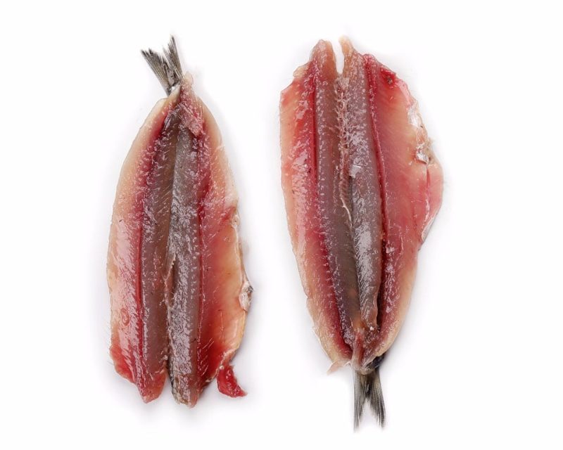 Anchoa sin espinas