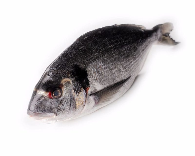 Dorada estero