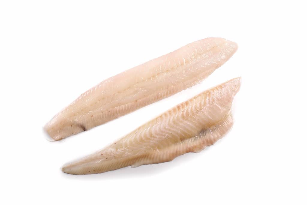 Lenguado a filetes - Imagen 2