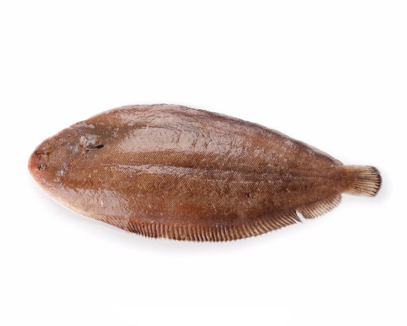 Lenguado en filetes