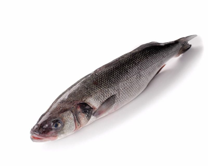 Lubina salvaje