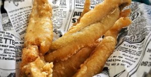 Pijota fresca | Pescados Saturnino