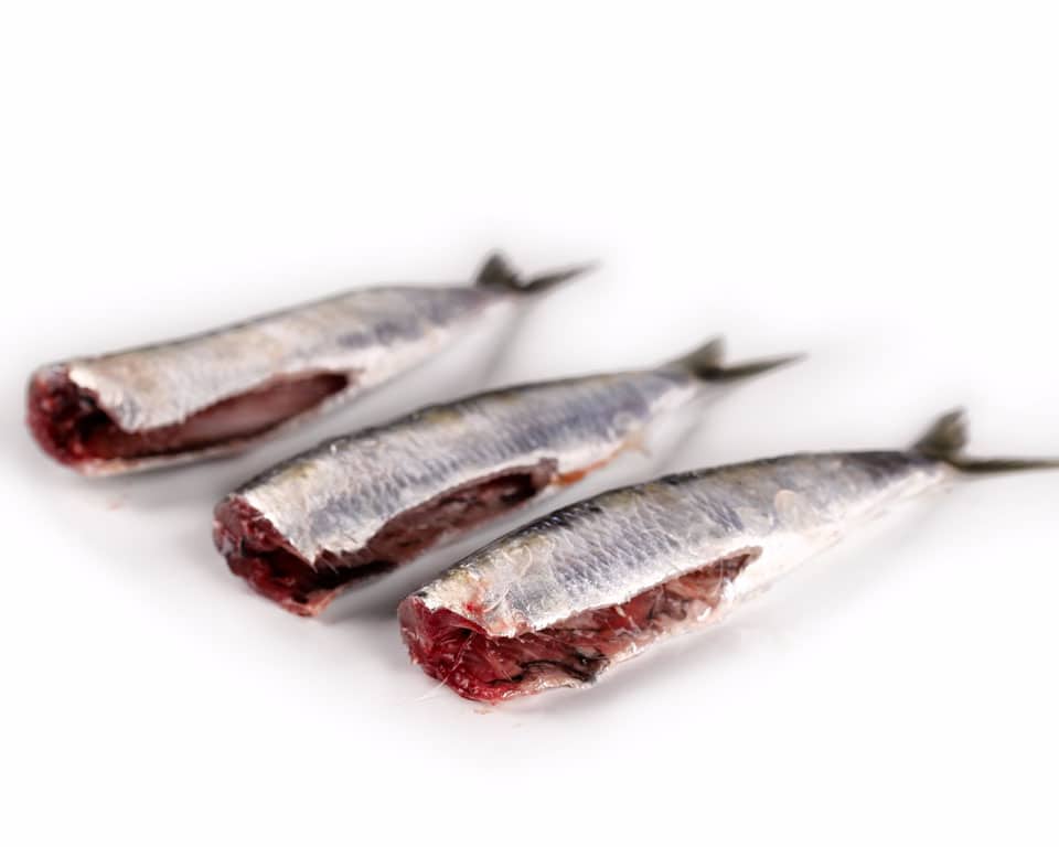 Sardina - Imagen 2