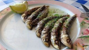 Sardina | Pescados Saturnino