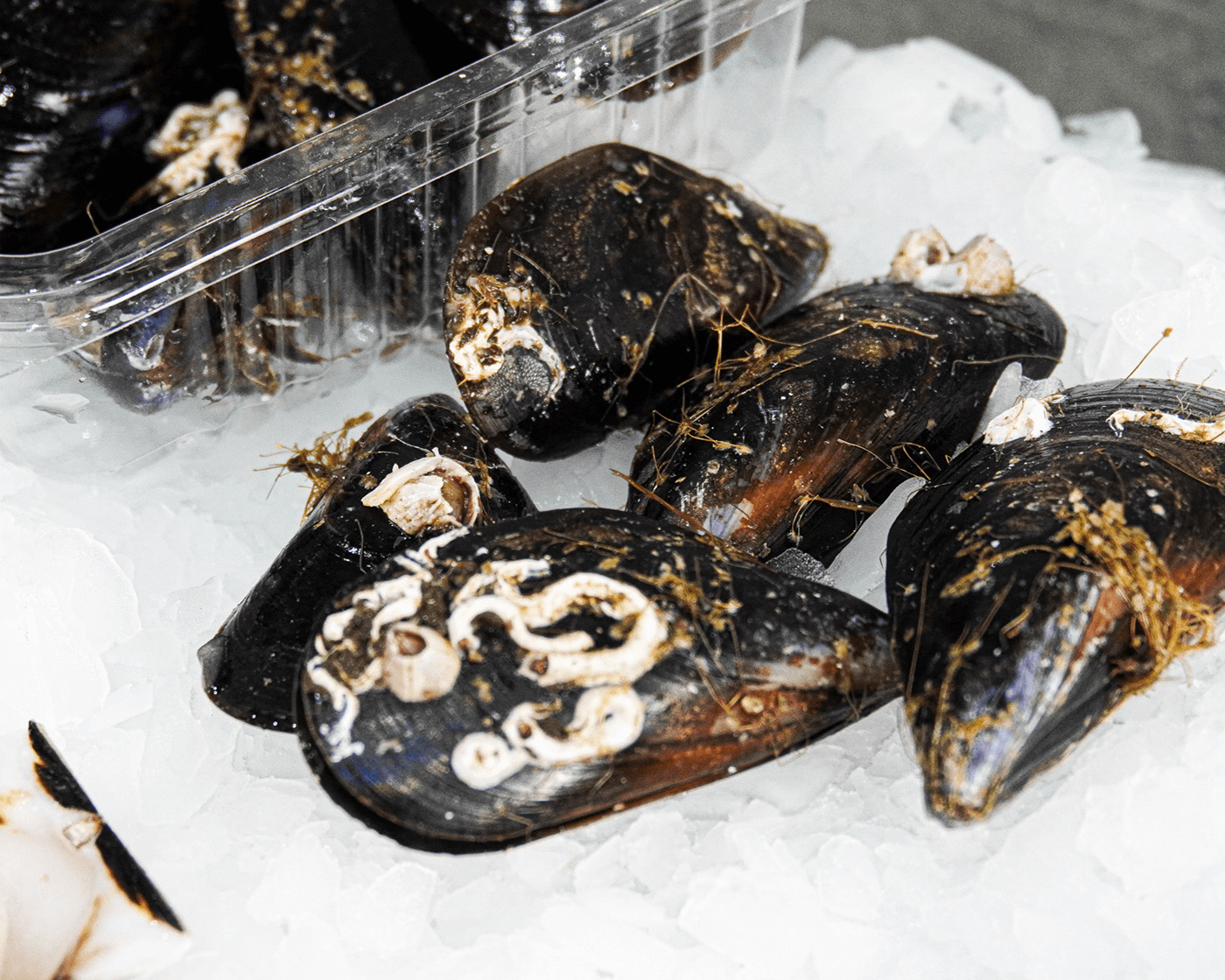 Mariscada premium para 2 personas - Imagen 3